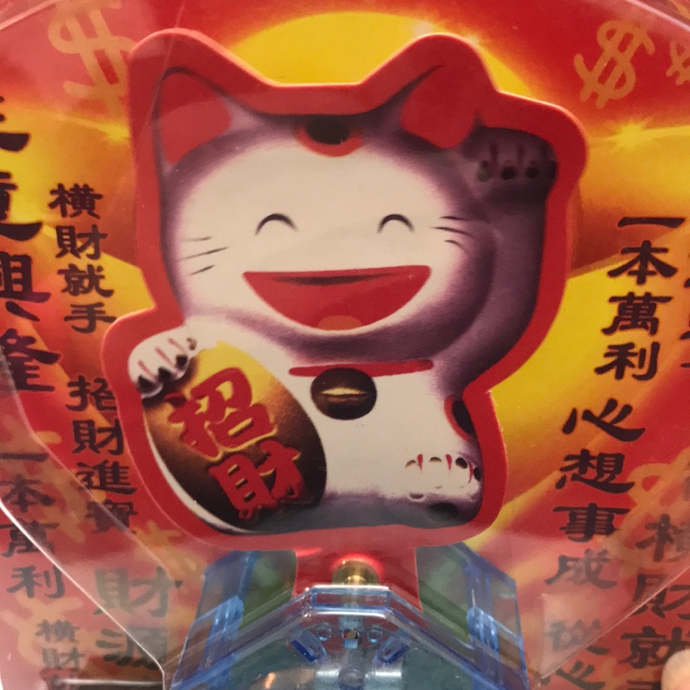 swing smiling cat